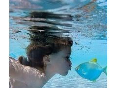 長春夏普洗衣機維修 盡忠職守的專業服務