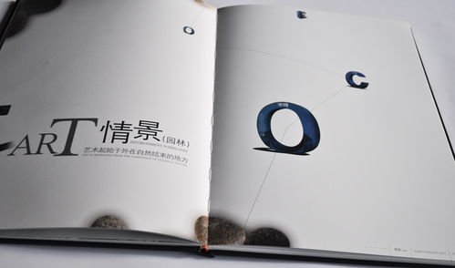澳城樓書 深圳專業(yè)廣告設(shè)計與品牌形象塑造的領(lǐng)軍者